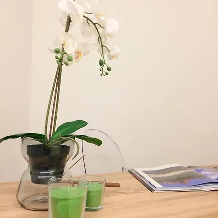 Nais Apartment Turin