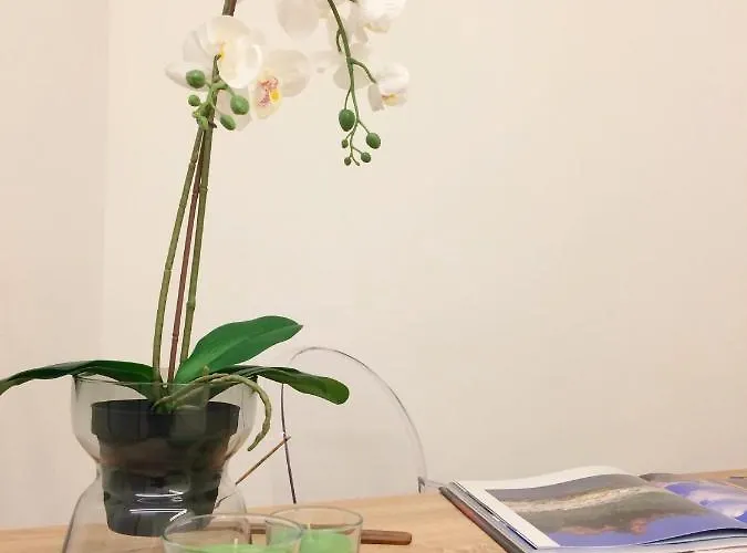 Nais Apartman Torino